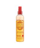 Argan Oil Leave In Conditioner by Creme of Nature  Detangling and Conditioning Formula for Normal Hair 8.45 Fl Oz - Buy Online on SooperMarket.com