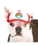 PupLid XS Trucker Hat for Dogs - Stylish Sun Protection for Active Dogs - Red Surfer Dog - Buy Online on SooperMarket.com
