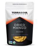 Terrasoul Superfoods Organic Dried Mango Slices 16 Oz - Naturally Sweet & Tart  No-Added Sugar  Healthy Prebiotic - Buy Online on SooperMarket.com