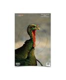 BIRCHWOOD CASEY Pregame 12" x 18" Targets, Highly Visible Instant Splattering Shooting Practice Targets Target Turkey - Buy Online on SooperMarket.com