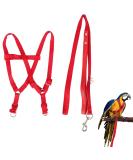 Felenny Bird Dishes & Leash - Adjustable Outdoor Accessories for Scarlet Macaw Sun Conure and Nymphensittich - Anti-Bite Protection (Large Red) - Buy Online on SooperMarket.com