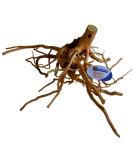 Superfish Natural Spiderwood - Large (40-50cm) - Buy Online on SooperMarket.com