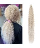 Buy DSoar 30 Deep Twist Crochet Hair - 3 Packs Ocean Wave Curly Bohemian Braids | Synthetic Hair Extensions for Women & Girls - 30inch 18/56c# - Buy Online on SooperMarket.com