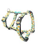 Max & Molly H-Harness - Sweet Pineapple | Adjustable & Comfortable Pet Harness for Dogs | International Shipping Available - Buy Online on SooperMarket.com