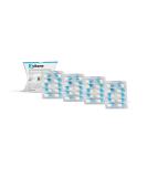 Zylkene Vetoquinol 75 mg Capsules | 40 Pack | Supplementary Dog Feed | Supports Dogs in Unusual Situations | International Shipping Available - Buy Online on SooperMarket.com