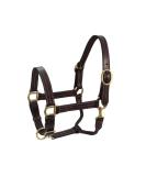 Derby Originals Coventry Triple Stitch Leather Halter - Full/Average Sizes - Buy Online on SooperMarket.com