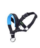 Padded Dog Head Collar for Anti-Pulling Control | Adjustable Head Harness in L Lake Blue - Buy Online on SooperMarket.com