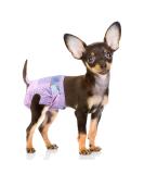 Buy Flying Paws Disposable Dog Diapers - Adjustable XS (20 Pack) for Dogs & Cats Perfect for Potty Training | International Shipping Available - Buy Online on SooperMarket.com