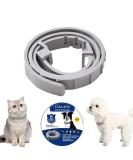 Teck Neck Band for Dogs & Cats | Adjustable Tick & Flea Collar | 100% Natural Ingredients | Up to 8 Months Protection - Buy Online on SooperMarket.com