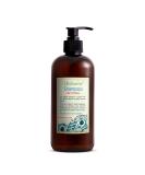 Hair Loss Shampoo | Hair Regrowth Shampoo For Thinning Hair | Hair Growth Product For Men and Women | Just Nutritive | 16 Oz - Buy Online on SooperMarket.com
