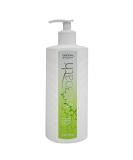Vitabath Original Spring Green Moisturizing Body Lotion with Aloe & Shea Butter | Hydrating Formula for Dry Skin | 20 oz | Cruelty-Free & Paraben-Free - Buy Online on SooperMarket.com