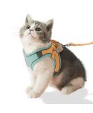 Fueegue Cat Harness with Leash - Escape Proof Adjustable Soft Harness for Cats & Small Dogs - Green S - Buy Online on SooperMarket.com
