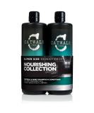 Catwalk by TIGI - Oatmeal & Honey Nourish Shampoo and Conditioner Set - Restoring Professional Haircare - Great For Dry and Damaged Hair - 2x750ml - Buy Online on SooperMarket.com