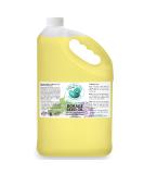 Shop Bella Terra Oils Premium Borage Seed Oil - High GLA for Luxurious Skin Radiance | 1 Gallon & Pack of 10 - International Shipping Available - Buy Online on SooperMarket.com