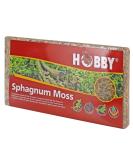 Dohse Aquaristik Hobby 34170 Spaghnum Moss tropical substrate for terrariums - Buy Online on SooperMarket.com