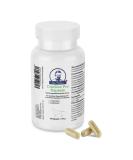 Diardoc Pro Probiotic for Dogs - 90 Capsules for Digestive Health Immune Support & Prebiotic Solutions - Buy Online on SooperMarket.com