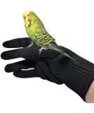 Alfyng Bird Training Anti-Bite Gloves for Small Animals Protective Chewing Gloves for Squirrels Hamsters Parrotlets Cockatiels Finches & Macaws (1 Pair) | Best International Shipping - Buy Online on SooperMarket.com