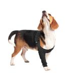 Suitical Recovery Sleeve for Small Dogs - Black | Dog Post-Op Protection - Buy Online on SooperMarket.com