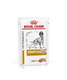 ROYAL CANIN S/O Urinary Ageing 7+ Wet Dog - 12 x 85 g - Buy Online on SooperMarket.com