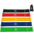 Fitness Bands Sport Resistance Bands Set of 5 for Yoga Pilates with Training Instructions and Storage Bag 5 Colors - Buy Online on SooperMarket.com