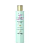 Pantene Revitalize & Soothe Menopause Shampoo Hair Thickening Shampoo 250ml For Dry Hair And Scalp Helps densify Thinning Hair Vitamin B3 & White Tea Hair Thickening Products For Women - Buy Online on SooperMarket.com