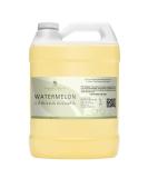 Watermelon Seed Oil - 100% Pure Cold Pressed | 1 Gallon Bulk Carrier Oil for Hair Skin Nails & Body - Natural Non-GMO Organic - Buy Online on SooperMarket.com