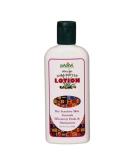 Madina - African Shea Butter Lotion  8 Oz. - Buy Online on SooperMarket.com