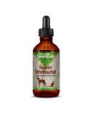 Animal Essentials Super Immune Support for Dogs & Cats - 1 fl oz | Promotes Healthy Immune System - Ol Complex - 2 fl oz - Buy Online on SooperMarket.com