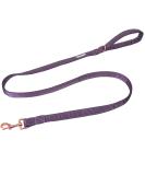 Lionet Paws Dog Leash - Premium Silk Leash for Small Medium & Large Dogs | Matching Collars in Purple for Boys & Girls - Durable & Stylish (Pack of 1) - Buy Online on SooperMarket.com