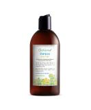 Just Nutritive Men's Gray Hair Shampoo | Sulfate-Free Brassy Tone Remover | Natural Gray Hair Treatment | 8 oz - Buy Online on SooperMarket.com