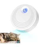 Wood Collection Cat Toilet Deodorant - Automatic Odor Neutralizer for All Cat Toilets & Small Surfaces - Buy Online on SooperMarket.com