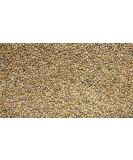 Jalpur Whole Millet Seeds (Bajri) 200g - Premium Quality - Buy Online on SooperMarket.com