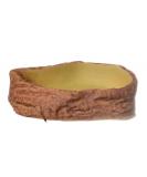 Exo Terra Large Water Dish - Durable and Spacious for Reptiles - Buy Online on SooperMarket.com