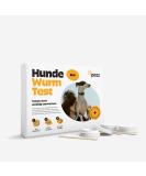 Pezz for dogs (Pro) for testing for the most common worms including Giardia |Laboratory finding including recommendation for action |With free laboratory shipping (1 piece) - Buy Online on SooperMarket.com