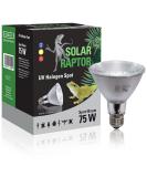 SOLAR RAPTOR UV halogen spot 75 watts reptile heat lamp terrarium lamp with daylight spectrum  - Buy Online on SooperMarket.com