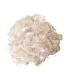 YJJKJ Natural Bird Nesting Material Pads - 40g/1.4oz, Ideal for Nest Building and Hideouts - Buy Online on SooperMarket.com
