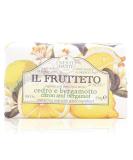 Nesti Dante Il Frutteto Energizing Soap - Citron and Bergamot 8.8oz - Buy Online on SooperMarket.com