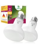 REPTI HOME Reptile Heat Lamp Bulbs 2 Pack 100W Heat Lamp for Reptiles E27 Basking Light Bulb for Vivarium Turtle Lizard Tortoise Bearded Dragon Puppy Chick - Buy Online on SooperMarket.com