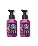 Bath & Body Works Ghoul Friend Hand Soap 2-Pack 8.75 oz - Spooky Halloween Scent - 1.0 lbs - Buy Online on SooperMarket.com