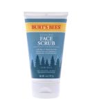 Buy Burts Bees Cooling Face Scrub for Men 4 oz - Refreshing Exfoliation & Natural Skincare - International Shipping Available - Buy Online on SooperMarket.com