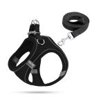 Shop Small Dog Harness & Puppy Dishes - Curli Harnesses & Catware for XS Dogs - Buy Online on SooperMarket.com