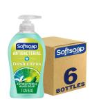 Softsoap Antibacterial Liquid Hand Soap, Fresh Citrus - 11.25 Fluid Ounce (6 Pack) - Buy Online on SooperMarket.com