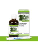 Alvafet Urostat supplementary feed to reduce urinary stone formation for dogs and cats with nettle and goldenrod 100ml dosing syringe - Buy Online on SooperMarket.com