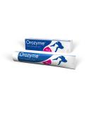 Buy Ecuphar Orozyme Dental Care Gel 70g - Effective Oral Hygiene for Pets | International Shipping Available - Buy Online on SooperMarket.com