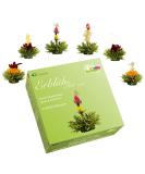 Creano Blooming Tea Sampler in A Classy Gift Box to Try - Green Tea - Gift for Women Mom Tea Lovers - 6 Pieces (Pack of 1) - Buy Online on SooperMarket.com