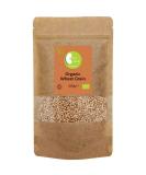 Organic Wheat Grain - Certified Organic - by Busy Beans Organic (500g) - Buy Online on SooperMarket.com
