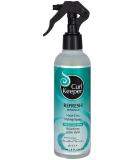 Curl Keeper Refresh Next Day Styling Spray (8 oz) - Buy Online on SooperMarket.com