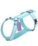 Stuch Dog Harness - Adjustable Padded Nylon for All Sizes | Turquoise | Size L - Buy Online on SooperMarket.com