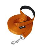 Loutep 5m Dog Training Leash - Durable Nylon Long Leash with Padded Handle & Heavy Duty Swivel Hook - Orange - Buy Online on SooperMarket.com