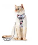 Supet Cat Dishes & Line Set - Perfect Feeding Solution for Kittens | International Shipping Available - Buy Online on SooperMarket.com